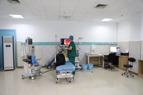 技術服務 設備、環境與專業能力缺一不可